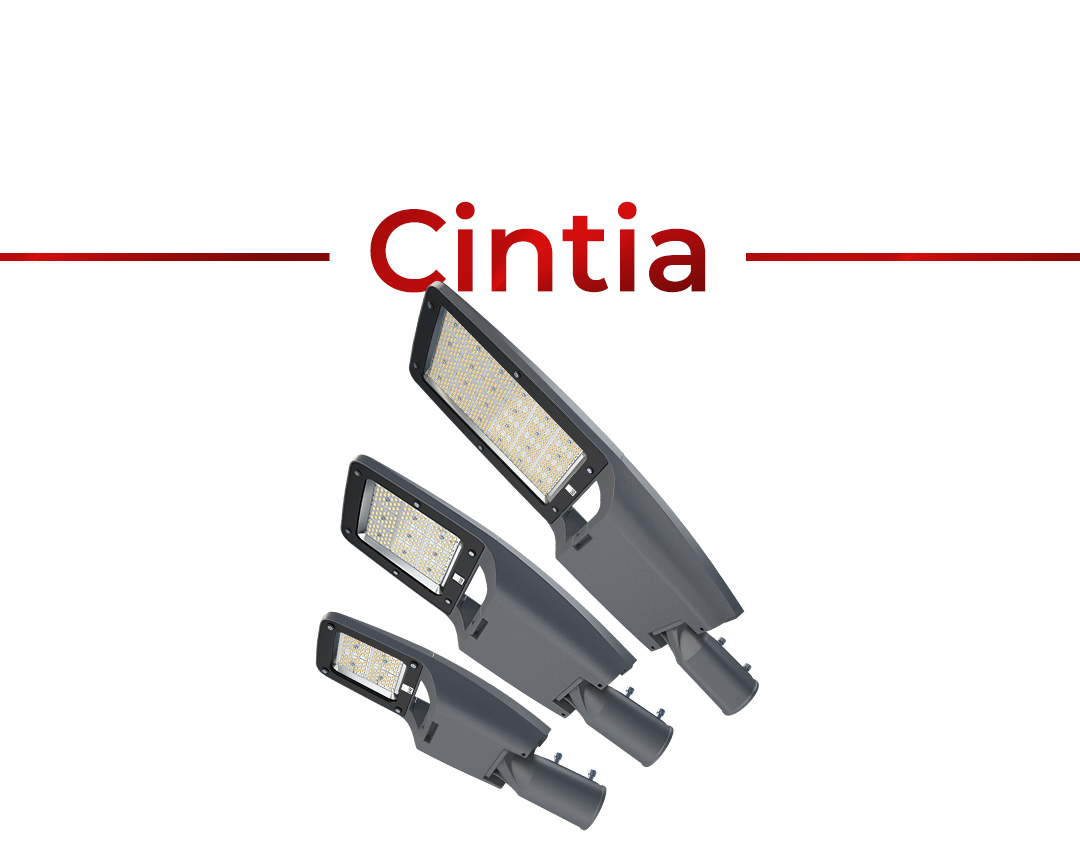 Cintia Ürün Ailesi